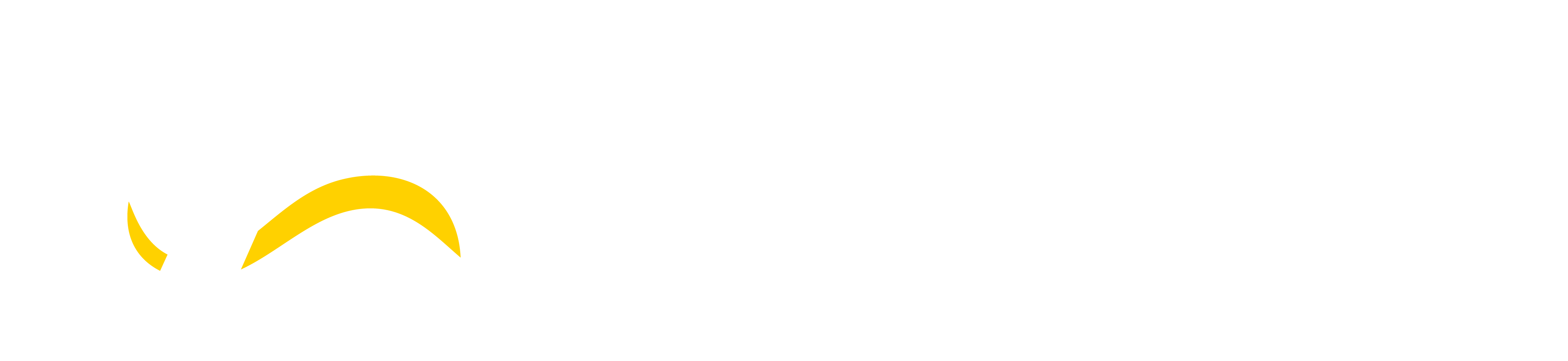 Integral Analytics
